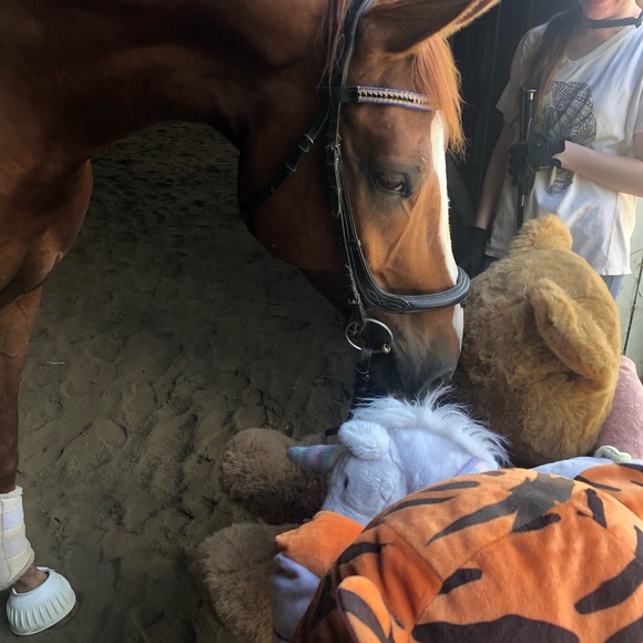 Meet your Posher, Gail - Picture 4 of 14